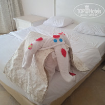 фото из отзыва ID 2743255