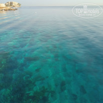 фото из отзыва ID 2743255