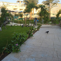 фото из отзыва ID 2743255