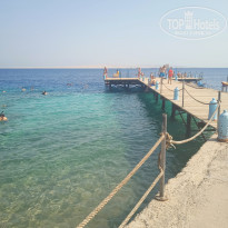 фото из отзыва ID 2743255