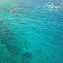 фото из отзыва ID 2743255