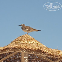 фото из отзыва ID 2743255