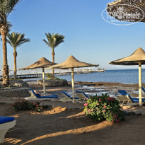 фото из отзыва ID 2743203