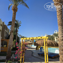 фото из отзыва ID 2743203