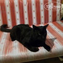 фото из отзыва ID 2743203