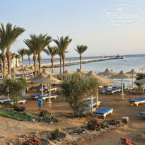 фото из отзыва ID 2743203