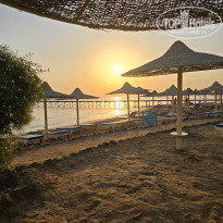 фото из отзыва ID 2743203