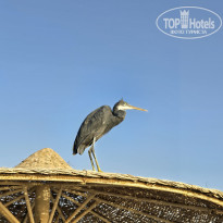 фото из отзыва ID 2743203