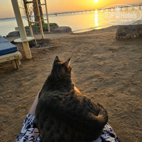 фото из отзыва ID 2743203