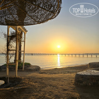 фото из отзыва ID 2743203