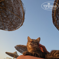 фото из отзыва ID 2743203