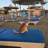 фото из отзыва ID 2743203