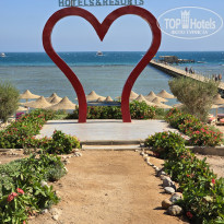 фото из отзыва ID 2743203