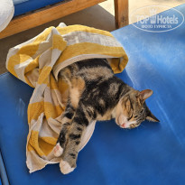 фото из отзыва ID 2743203