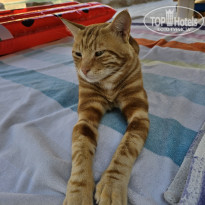 фото из отзыва ID 2743203