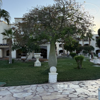 фото из отзыва ID 2743253