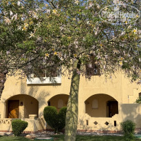 фото из отзыва ID 2743253