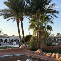 фото из отзыва ID 2743253