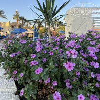 фото из отзыва ID 2743253