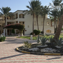 фото из отзыва ID 2743253