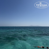 фото из отзыва ID 2743253