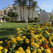 фото из отзыва ID 2743253