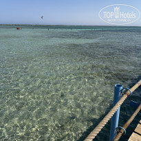 фото из отзыва ID 2743253