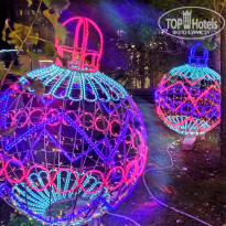 фото из отзыва ID 2743269