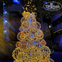 фото из отзыва ID 2743269