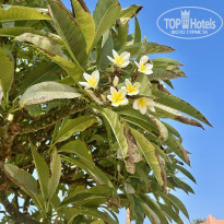 фото из отзыва ID 2743299