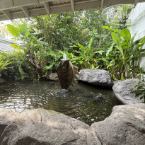 фото из отзыва ID 2743310