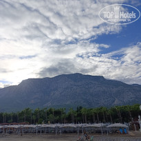 фото из отзыва ID 2743315