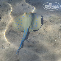 фото из отзыва ID 2743338