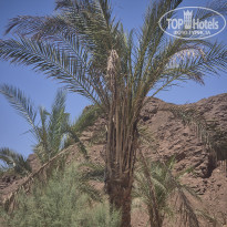 фото из отзыва ID 2743338