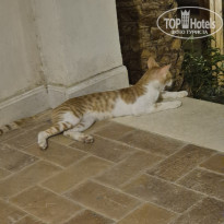 фото из отзыва ID 2743338