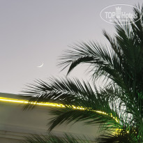 фото из отзыва ID 2743338