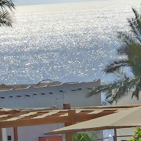 фото из отзыва ID 2743338