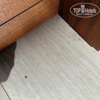 фото из отзыва ID 2742317