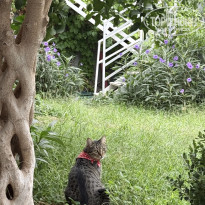 фото из отзыва ID 2743354