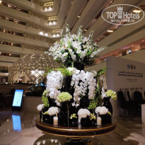 фото из отзыва ID 2743359