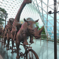 фото из отзыва ID 2743359