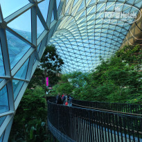 фото из отзыва ID 2743359