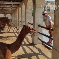 фото из отзыва ID 2743359