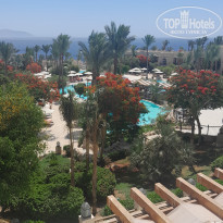 фото из отзыва ID 2743362