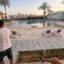 фото из отзыва ID 2743370