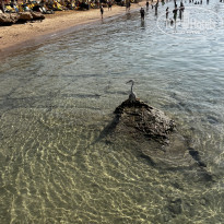 фото из отзыва ID 2743370