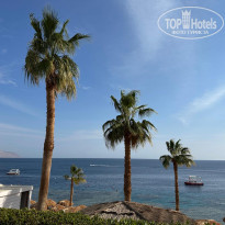 фото из отзыва ID 2743371