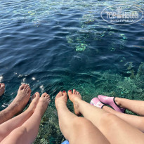 фото из отзыва ID 2743371