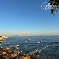 фото из отзыва ID 2743371