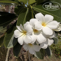 фото из отзыва ID 2743372